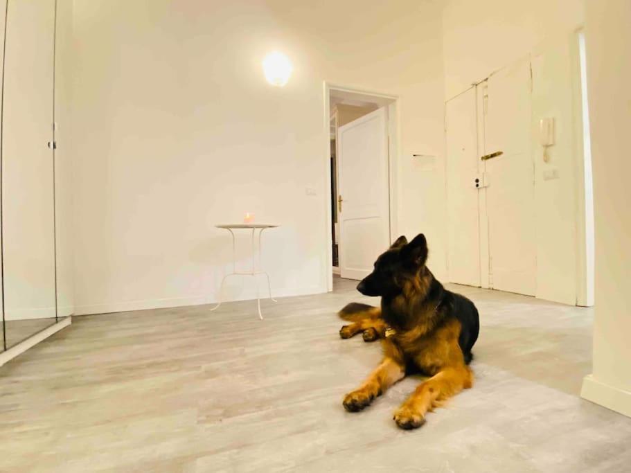 Mamisa Rome, Appartamento Con Parcheggio Privato E Gratuito 외부 사진